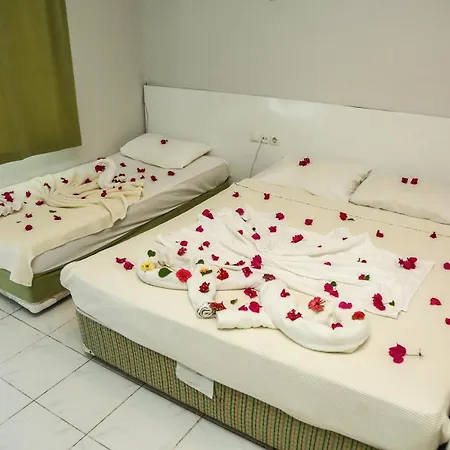 酒店 More Hotel 3*